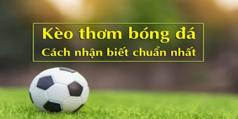 Cách nhận biết kèo thơm